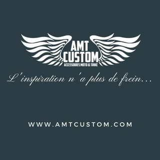 amtcustom.com