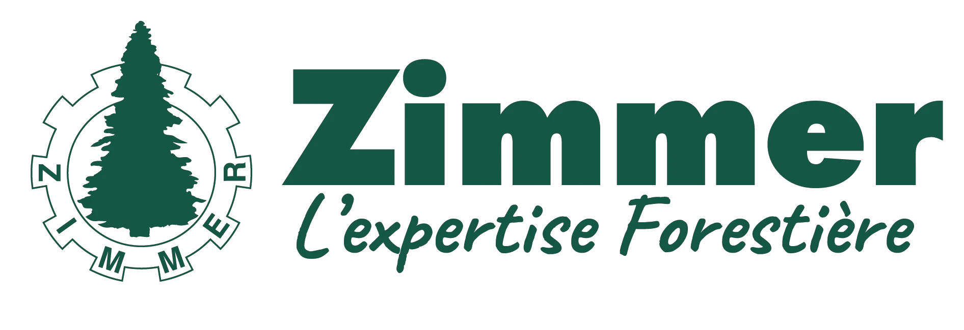 zimmersa.com